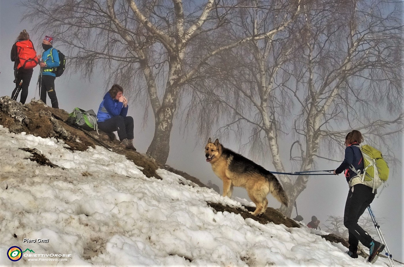 42 Sul Monte Poieto non siamo soli.JPG